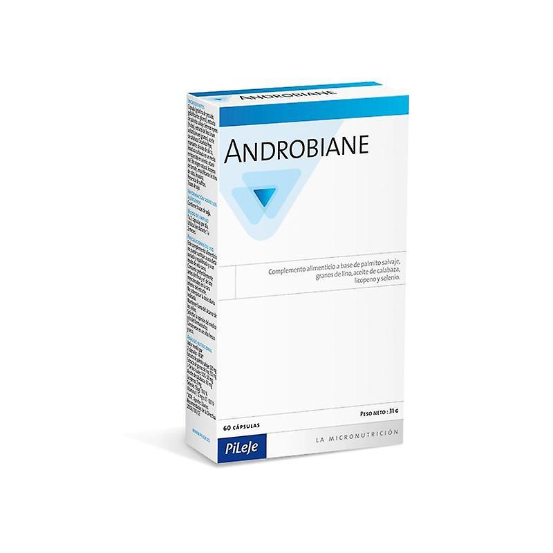 Pileje Androbiane Tapas Protectoras 60