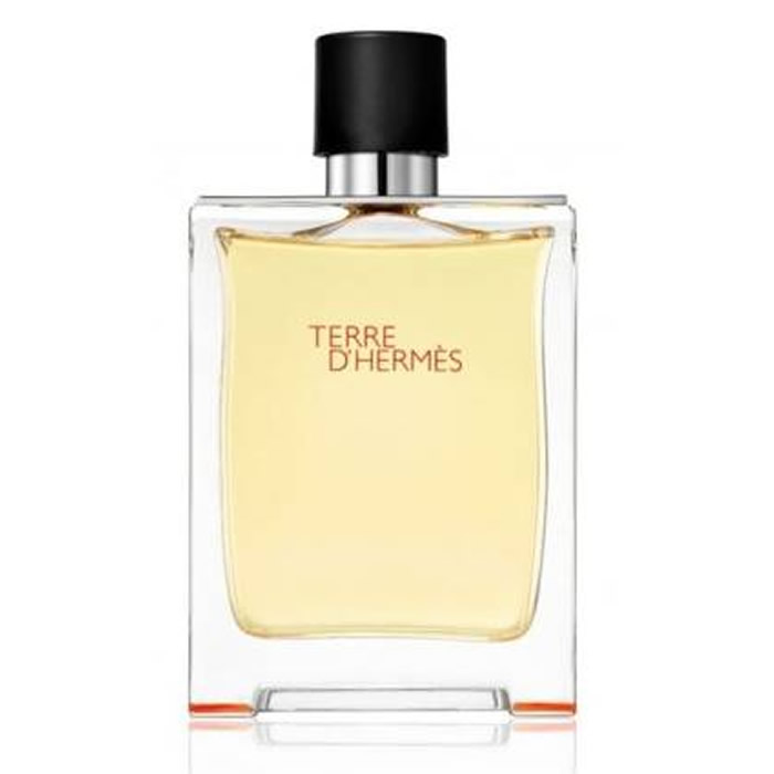 Terre D'Hermès Eau de Toilette Spray 50 ml