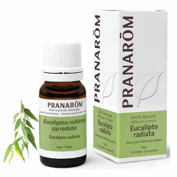 [239639] Pranarom Aceite Esencial Eucalipto Radiata 10ml