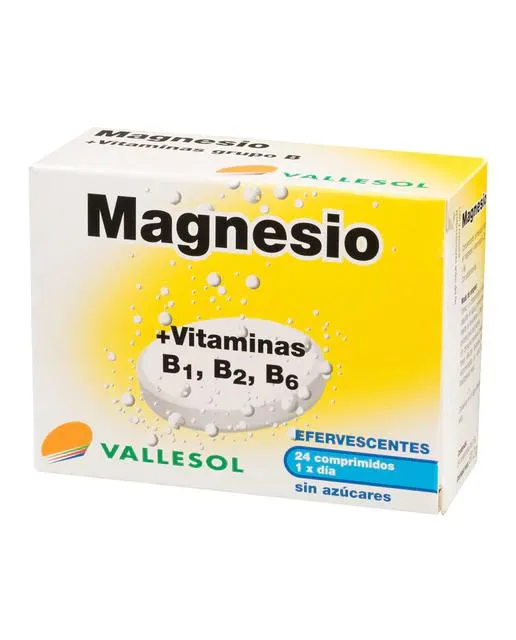 [252009] Vallesol Effervescent Magnésium B 24comp