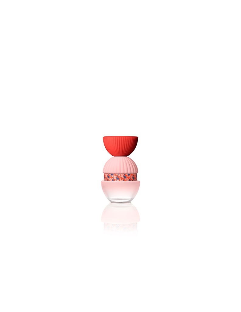 El Ganso Fun y Chic Edp 100 sprej