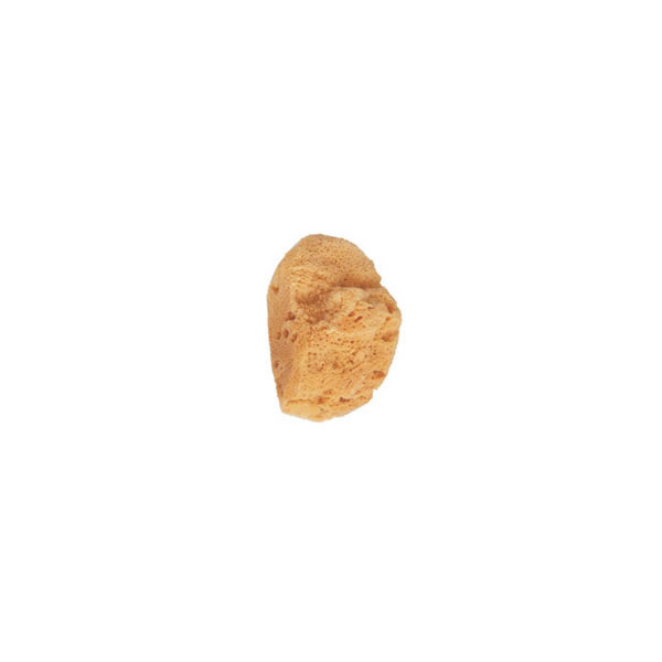 Beter Kleine Natuurlijke Zeespons