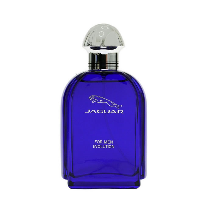 Jaguar Evolution Eau de Toilette Spray 100 ml