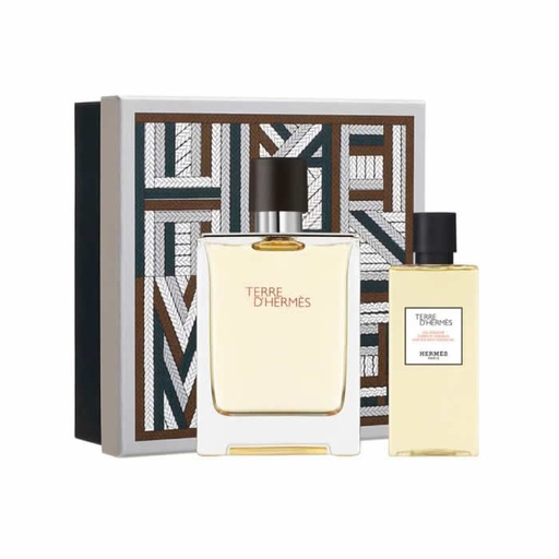 [329113] Hermès Terre D'Hermès tualetinis purškiklis 100 ml 2 dėžutės produktai
