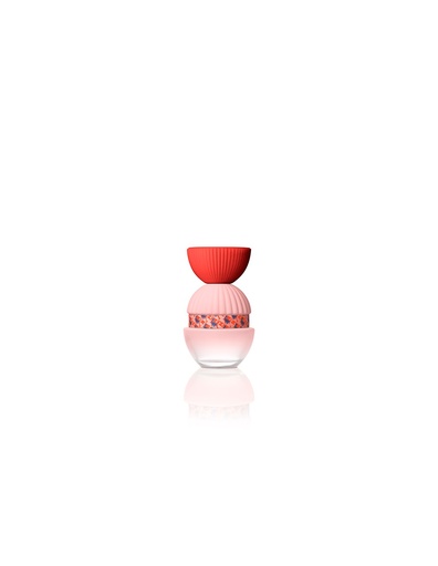 [361366] El Ganso Fun y Chic Edp 100 sprej
